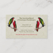 Aviaire Vintage Parrot Visitekaartje (Achterkant)