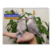 Avian Avenue 2025 Parrot Kalender (Hoes)