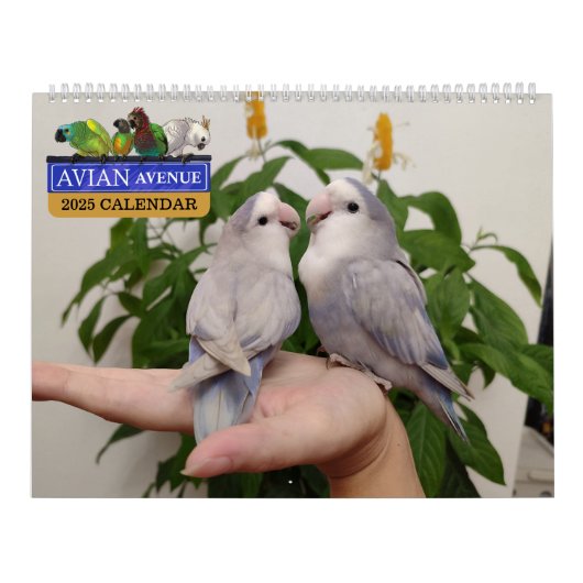 Avian Avenue 2025 Parrot Kalender (Hoes)