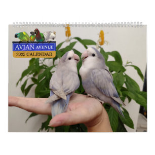 Avian Avenue 2025 Parrot Kalender