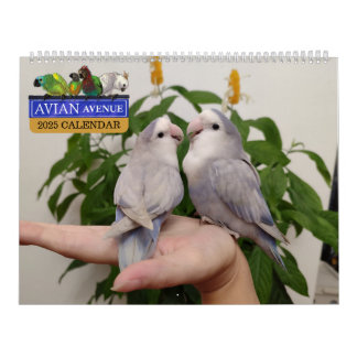 Avian Avenue 2025 Parrot Kalender