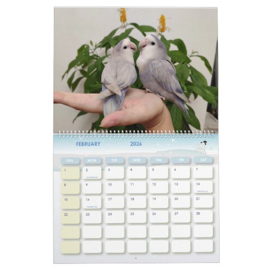 Avian Avenue 2025 Parrot Kalender (Feb 2026)