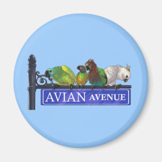 Avian Avenue Magneten