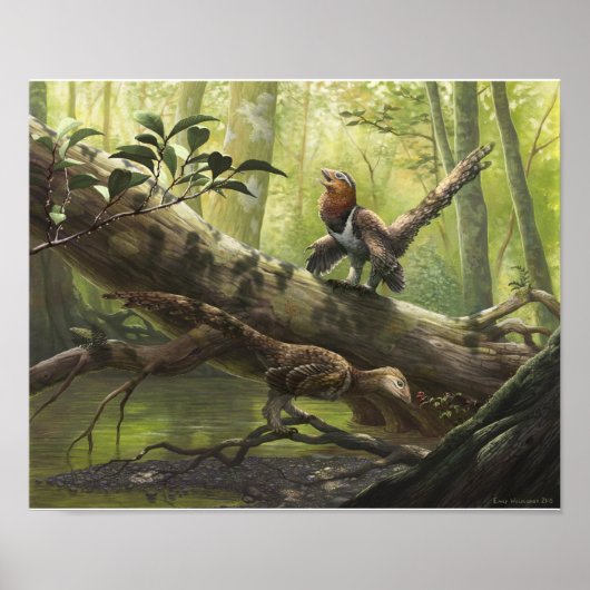 Avian Balaur bondoc Poster (Voorkant)