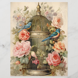 Avian Beauty Scrapbook papier