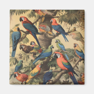 Avian Gathering & Tropical Canopy Assembly Magneet