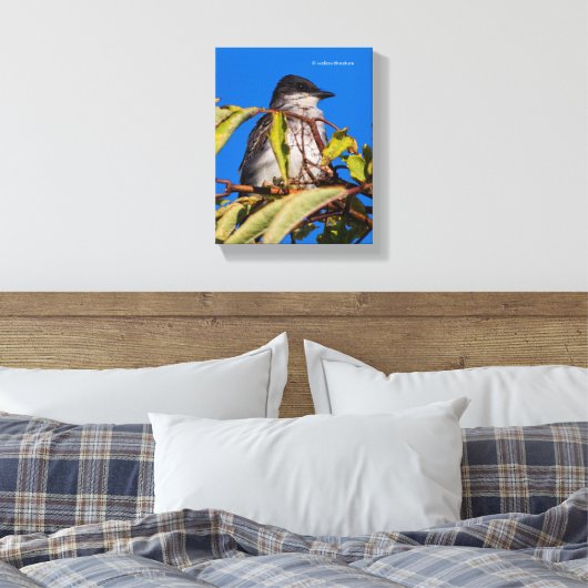 Avian Royalty: Eastern Kingbird Canvas Afdruk (Insitu (Slaapkamer))