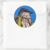 Avian Royalty: Eastern Kingbird Ronde Sticker (Tas)