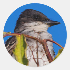 Avian Royalty: Eastern Kingbird Ronde Sticker