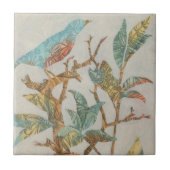 Aviary Collage I Tegeltje (Voorkant)