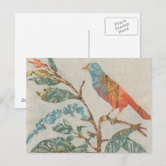 Aviary Collage II Briefkaart (Voorkant / Achterkant)