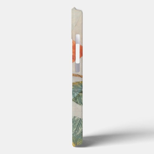 Aviary Collage II Case-Mate iPhone Case (Achterkant / Links)