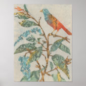 Aviary Collage II Poster (Voorkant)