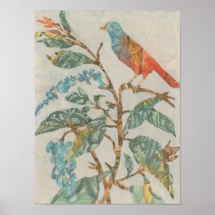 Aviary Collage II Poster