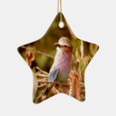 Aviary Keramisch Ornament (Rechts)