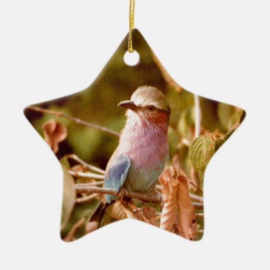 Aviary Keramisch Ornament (Voorkant)