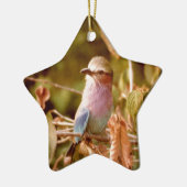 Aviary Keramisch Ornament (Links)