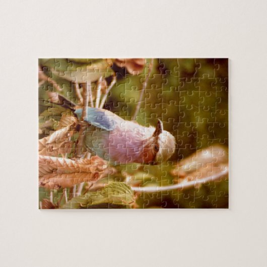 Aviary Legpuzzel (Horizontaal)