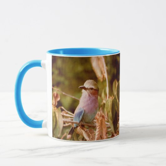 Aviary Mok (Links)