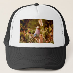 Aviary Trucker Pet