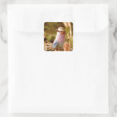 Aviary Vierkante Sticker (Tas)