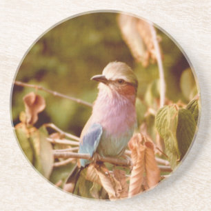 Aviary Zandsteen Onderzetter