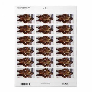 Aviator, 1917 by Joseph Christian Leyendecker Etiket