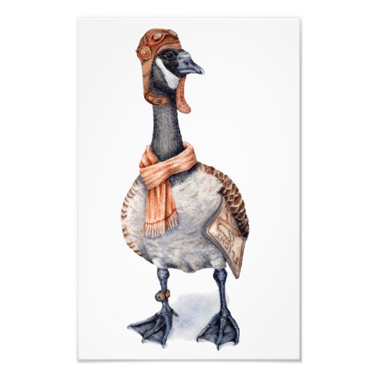 Aviator Goose Art Print Foto Afdruk (Voorkant)