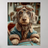  Aviator Hondenavontuur Poster (Voorkant)