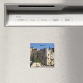 Avignon - magneet (Insitu (Vaatwasser))