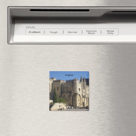 Avignon - magneet (Insitu (Vaatwasser))