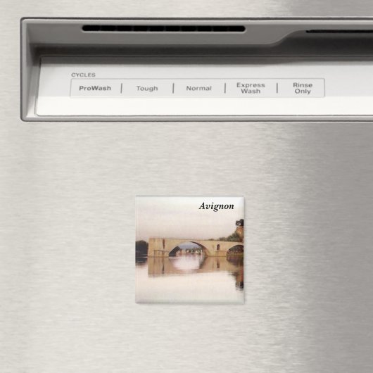 Avignon - magneet (Insitu (Vaatwasser))