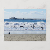 Avila Beach Briefkaart (Voorkant)