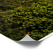 Avila op Sunrise Poster (Hoek)