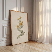 Avintage Melampodium Bloem Muur Kunstprint Poster