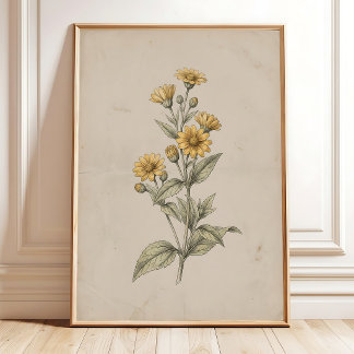 Avintage Melampodium Bloem Muur Kunstprint Poster