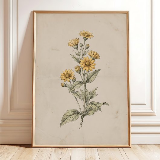 Avintage Melampodium Bloem Muur Kunstprint Poster