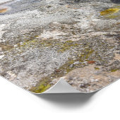 Avocabulente, Biscuit Basin, Yellowstone Poster (Hoek)