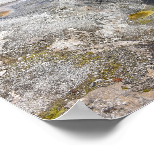 Avocabulente, Biscuit Basin, Yellowstone Poster (Hoek)