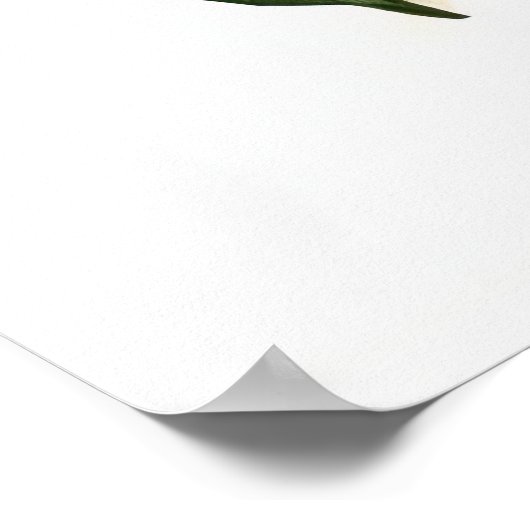 AVOCADO afdrukbaar Poster (Hoek)