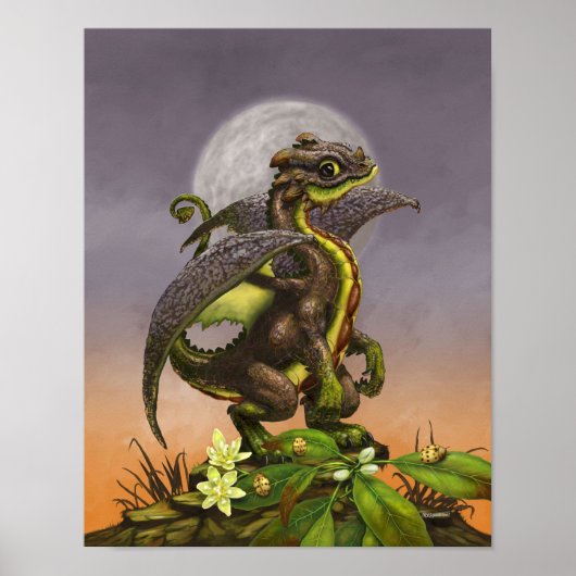 Avocado Dragon 11x14 (4x6 en hoger) Poster (Voorkant)