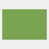 Avocado Green Inpakpapier Vel (Voorkant)