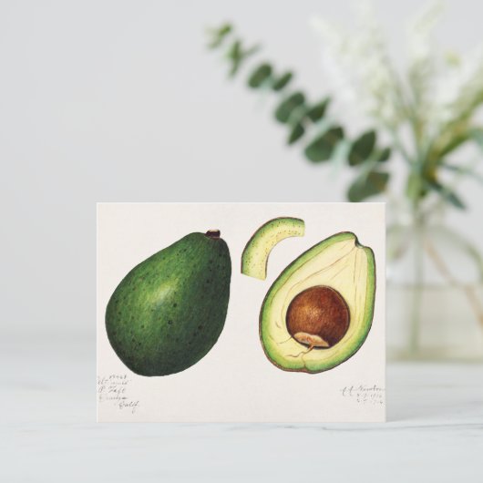  Avocado-illustratie Briefkaart (Staand voorkant)