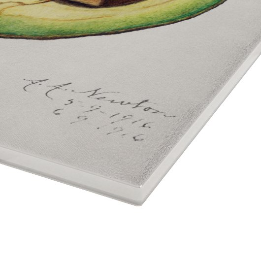Avocado Illustratie Snijplank (Hoek)