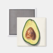 Avocado Magneet (Voorkant / Achterkant)