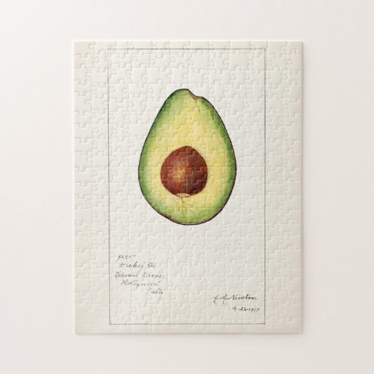 Avocado (Persea) Fruit Waterverftekening Legpuzzel (Verticaal)