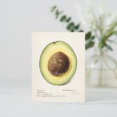 Avocado (Persea) — Waterverf van fruit Briefkaart (Staand voorkant)