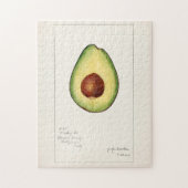 Avocado (Persea) — Waterverf van fruit Legpuzzel (Verticaal)