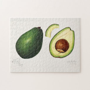 Avocado (Persea) — Waterverf van fruit Legpuzzel