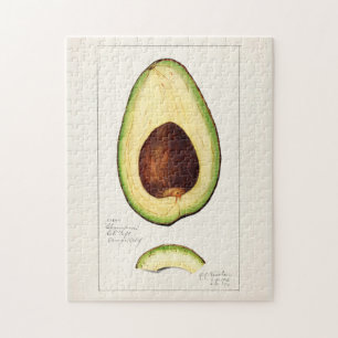 Avocado (Persea) Waterverf van fruit Painting Jigz Legpuzzel